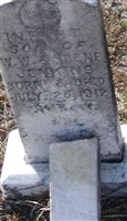 Infant Jenkins Infant Jenkins