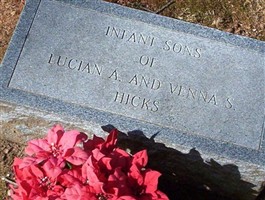 Infant sons of Lucian A. and Venna S. Hicks
