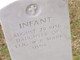 Infant Marr