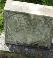Infant McGrew