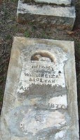Infant McLean Infant McLean