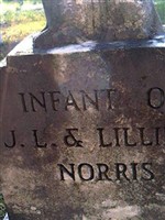 Infant Norris Infant Norris