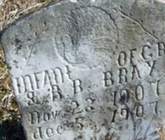 Infant of C.B. & R.B. Bray