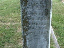 Infant Perrell