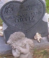 Infant Savannah Lynn Ortiz Infant Savannah Lynn Ortiz
