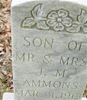 Infant son Ammons