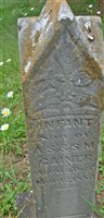 Infant Son Gainer Infant Son Gainer