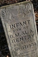 Infant Son Gentry Infant Son Gentry