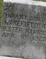 Infant son Hamrick Infant son Hamrick