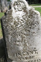 Infant Son Herring