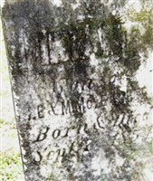 Infant Son McEachern