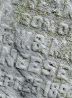 Infant Son Neese