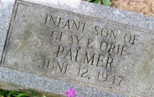 Infant Son Palmer Infant Son Palmer