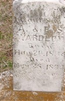 Infant Son Wardlow