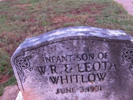 Infant Son Whitlow Infant Son Whitlow