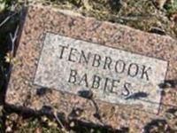 Infant Tenbrook