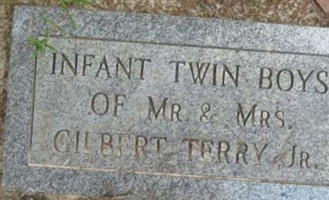 Infant twin boys Terry