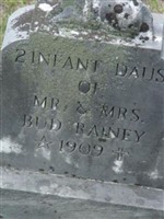 Infant Twin Rainey