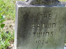 Infant Twins Brown Infant Twins Brown
