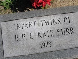 Infant Twins Burr