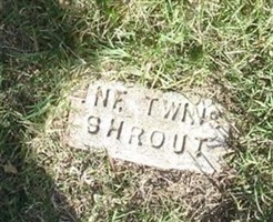Infant Twins Shrout Infant Twins Shrout