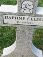 (infant) "Victorious" Daphne Celeste