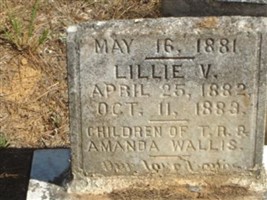 Infant Wallis