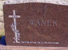 Infant Wanek