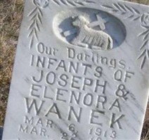 Infant Wanek