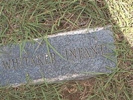 Infant Whitaker Infant Whitaker