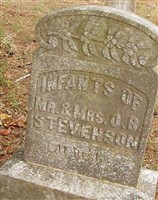 infants Stevenson