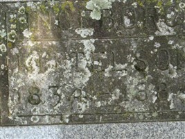 Ingeborg Kittelson