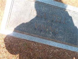 Iola Tell Vining (2383201.jpg)