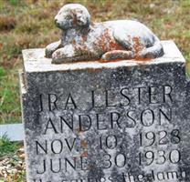 Ira Lester Anderson