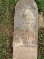 Ira M Walter