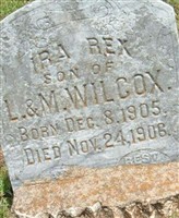 Ira Rex Wilcox