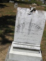 Irby Holt Fine