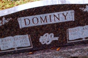 Irene Antley Dominy