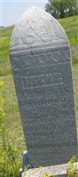 Irene Arabelle Arnold Irene Arabelle Arnold