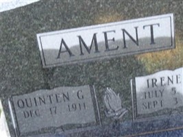 Irene D Ament