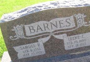 Irene E. Barnes (2062665.jpg)