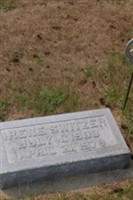 Irene Lamkin Switzer