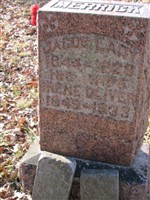 Irene Letetia Oliver Merrick