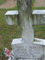 Irene P Parker Irene P Parker