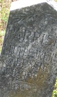 Irene Parrish