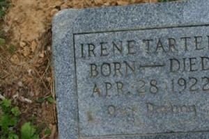 Irene Tarter Irene Tarter