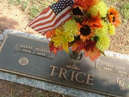 Iris Ginn Trice