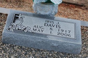 Iris J Davis