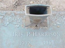 Iris P Harrison