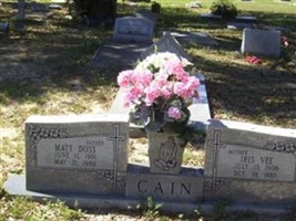 Iris Vee Cain